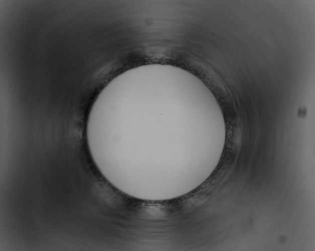 X0000102850710200809081243