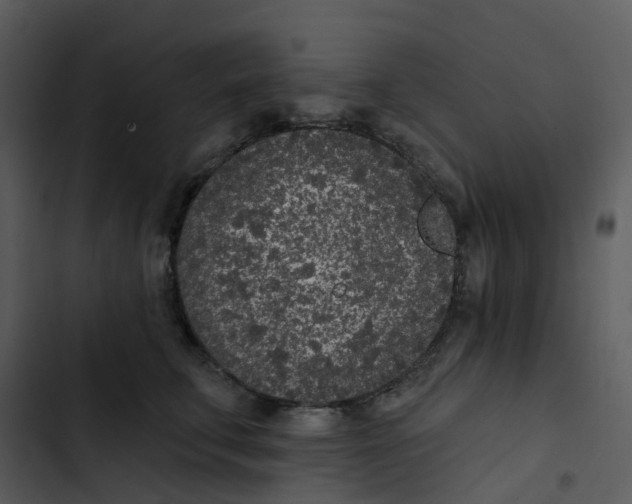 X0000102850711200809081243