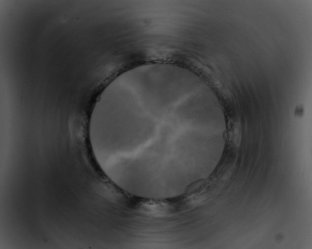 X0000102850712200809081243