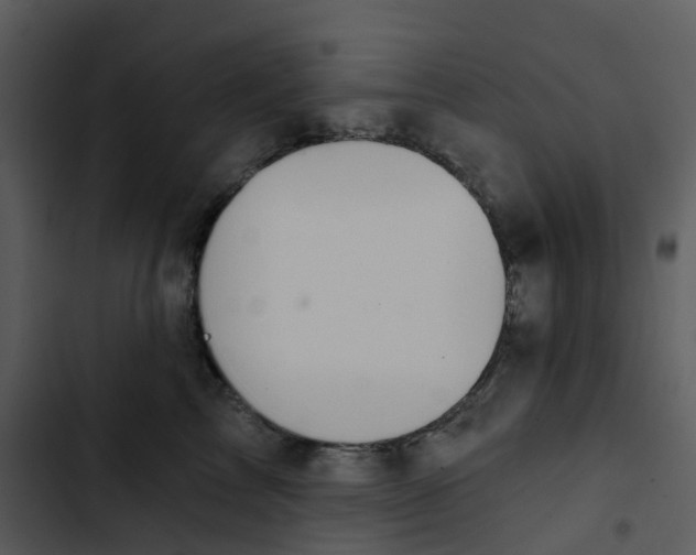 X0000102850713200809081243