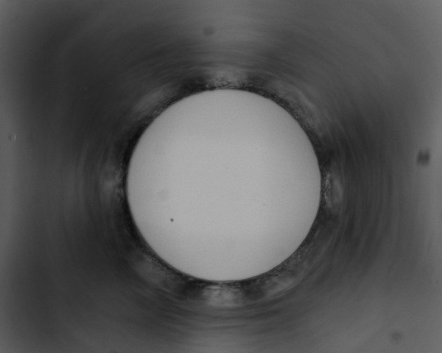 X0000102850714200809081243