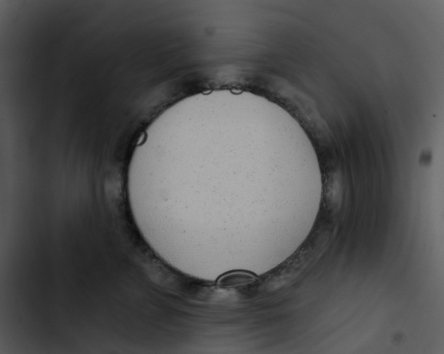 X0000102850715200809081243