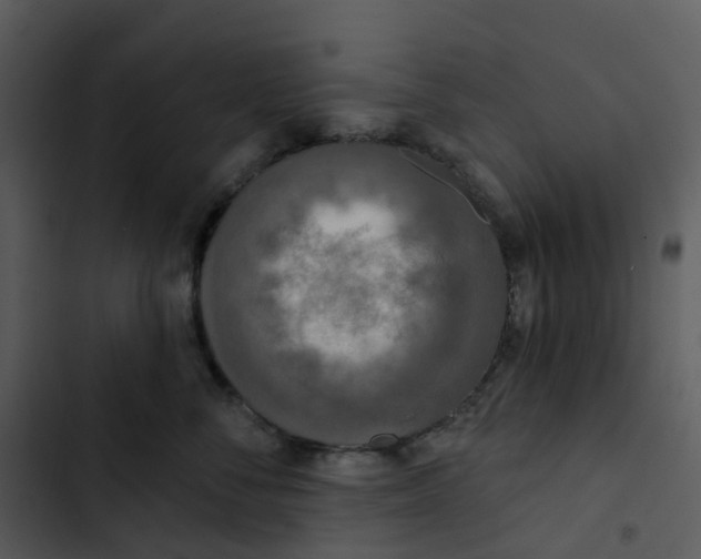 X0000102850716200809081243