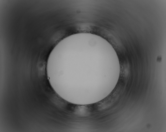 X0000102850717200809081243