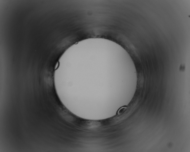 X0000102850719200809081243