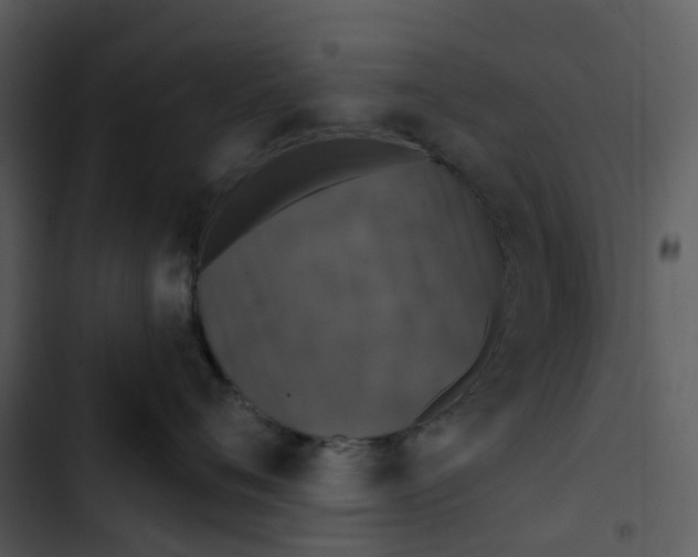 X0000102850720200809081243