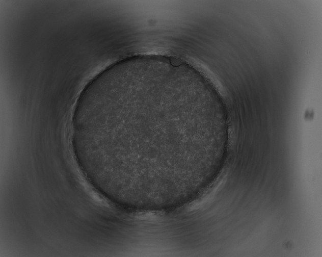 X0000102850721200809081242