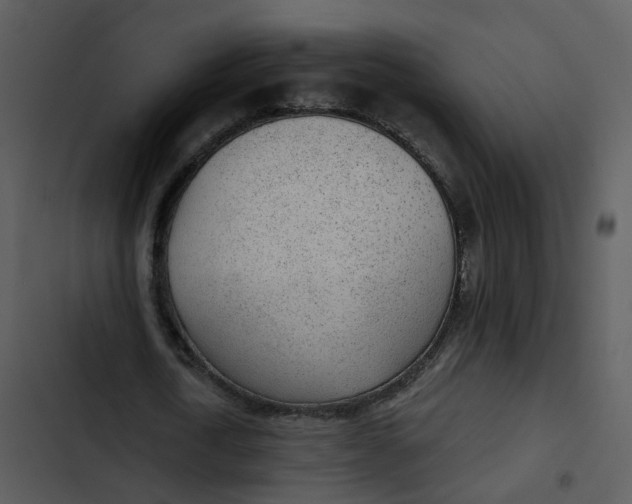 X0000102850722200809081242