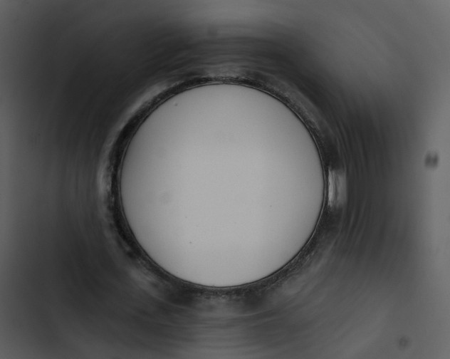 X0000102850723200809081242