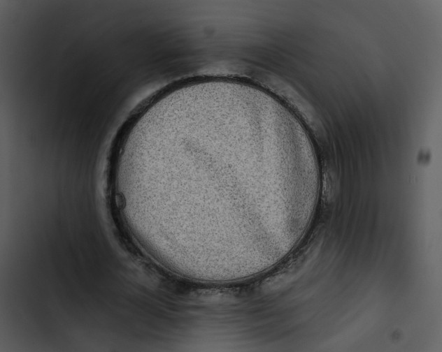 X0000102850724200809081242