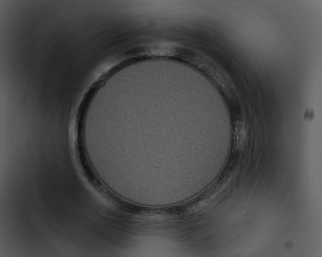 X0000102850726200809081243