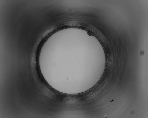 X0000102850727200809081243