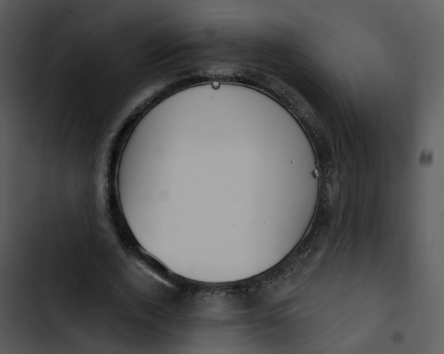 X0000102850728200809081243