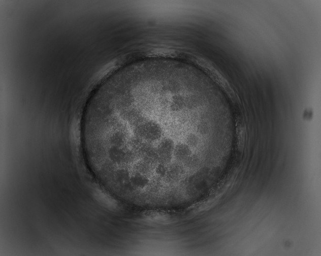 X0000102850729200809081243