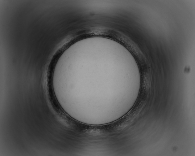 X0000102850730200809081243