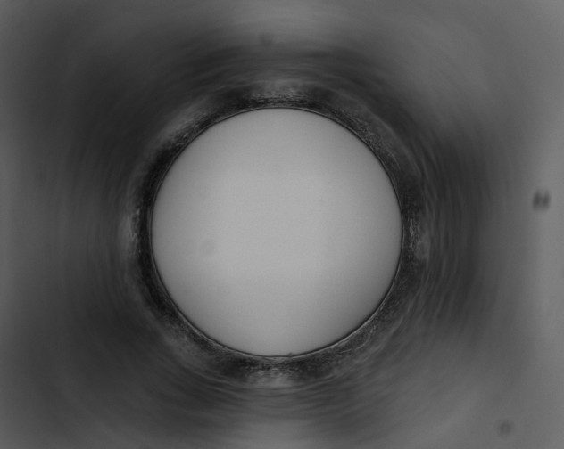 X0000102850735200809081243