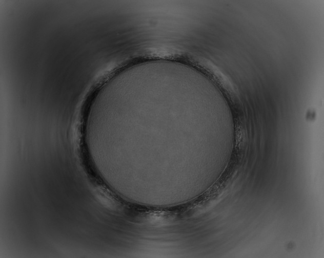 X0000102850736200809081243