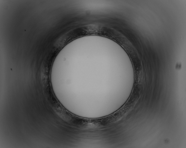 X0000102850737200809081243