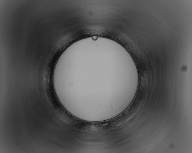 X0000102850739200809081243