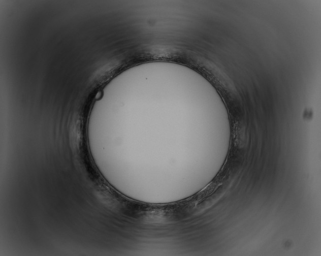 X0000102850740200809081243