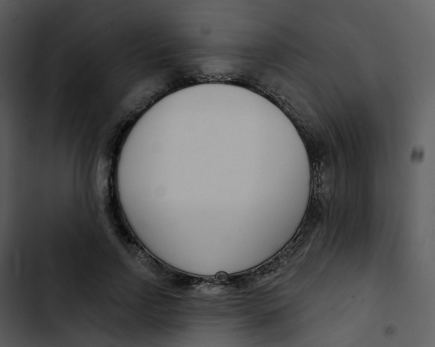 X0000102850742200809081243