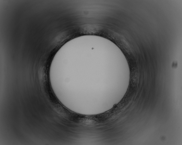 X0000102850743200809081243