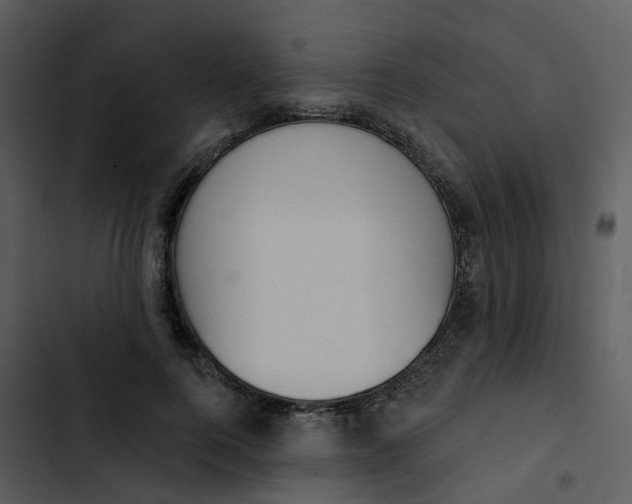 X0000102850744200809081243