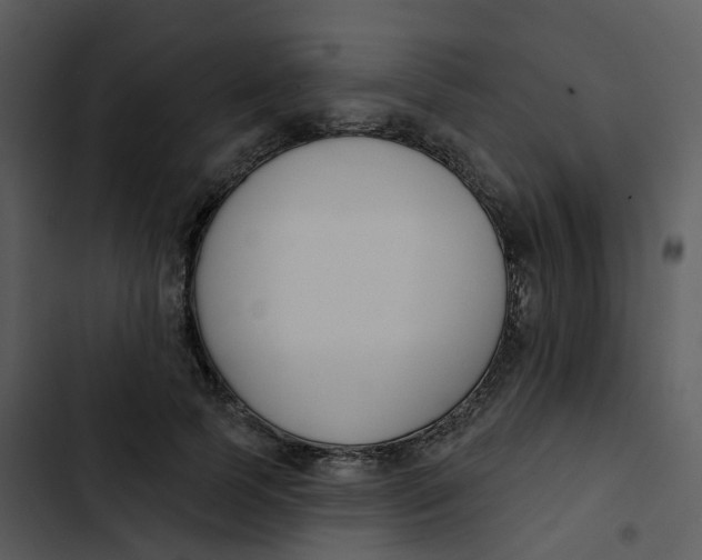 X0000102850745200809081243