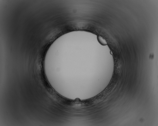 X0000102850746200809081243