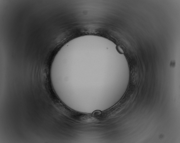 X0000102850747200809081243