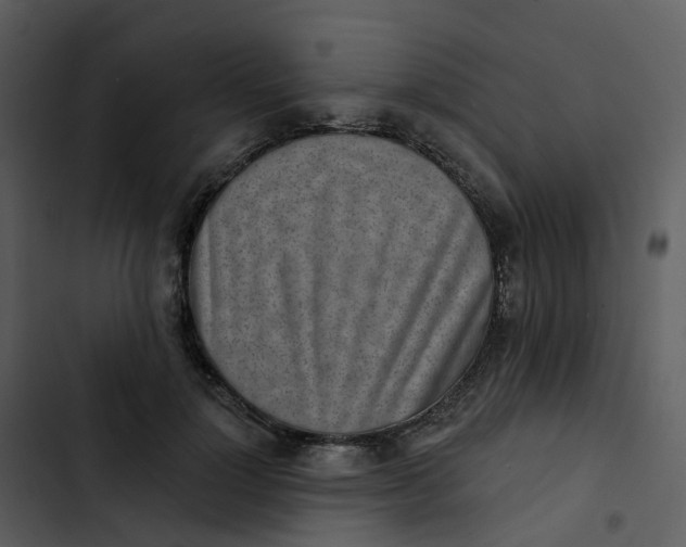 X0000102850748200809081243