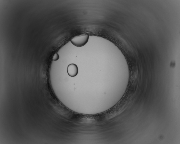 X0000102850749200809081243