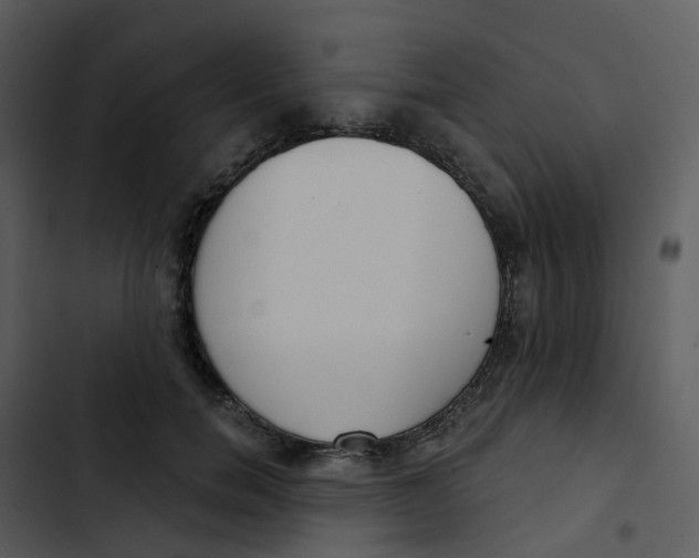 X0000102850750200809081243