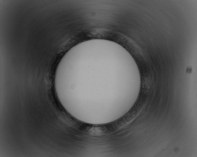 X0000102850751200809081243