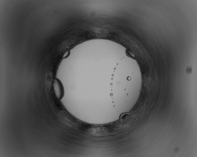 X0000102850752200809081243