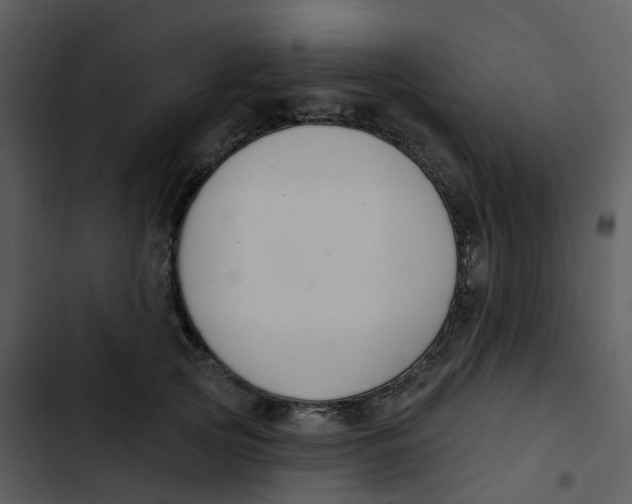 X0000102850753200809081243