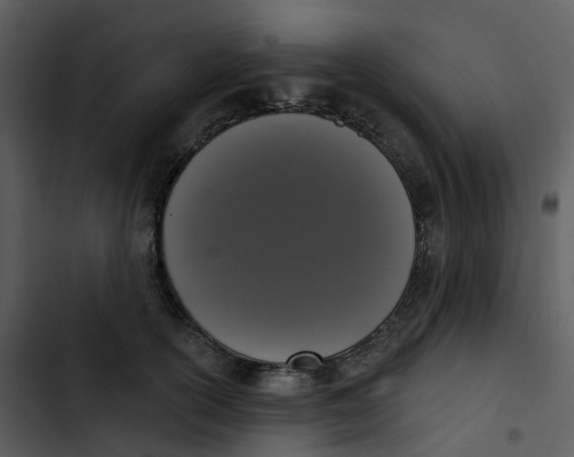 X0000102850754200809081243