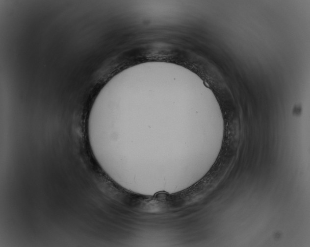 X0000102850755200809081243