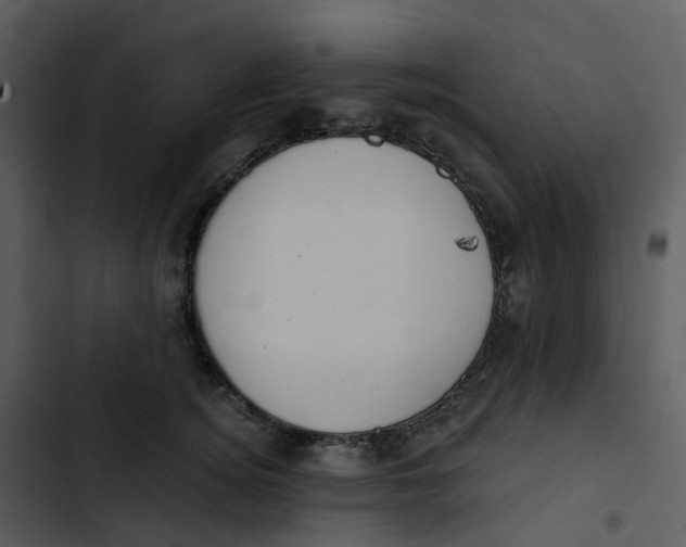 X0000102850756200809081243