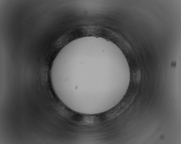 X0000102850757200809081243