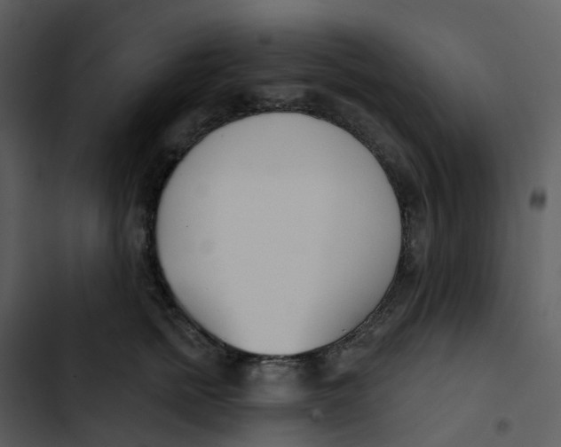 X0000102850758200809081243