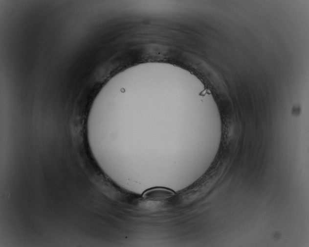 X0000102850759200809081243