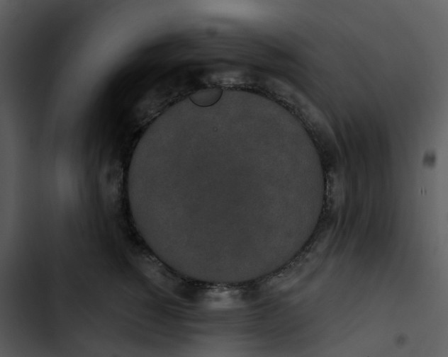 X0000102850760200809081243