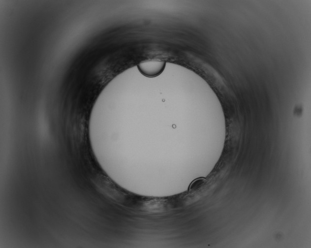 X0000102850761200809081243