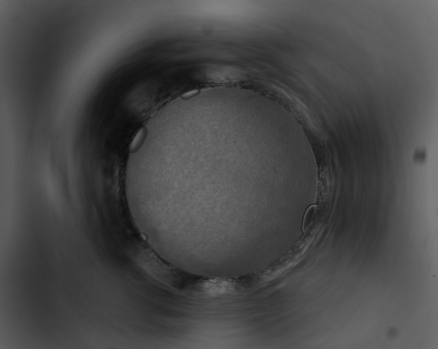 X0000102850762200809081243