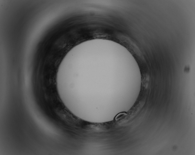 X0000102850763200809081243