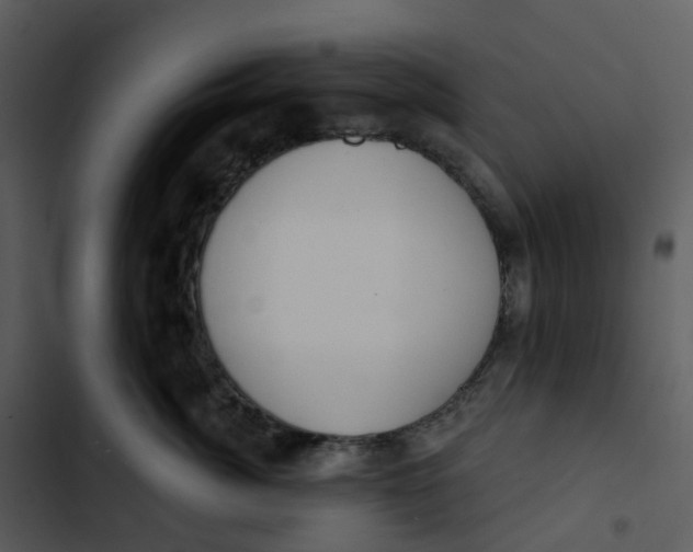 X0000102850764200809081243