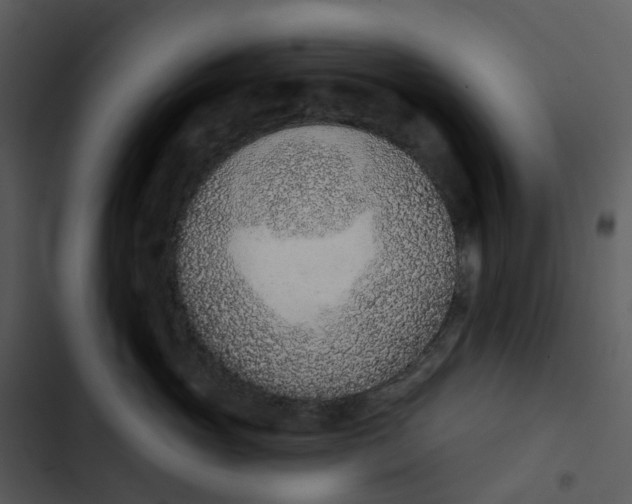 X0000102850765200809081243