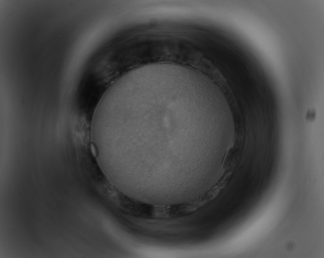 X0000102850766200809081243