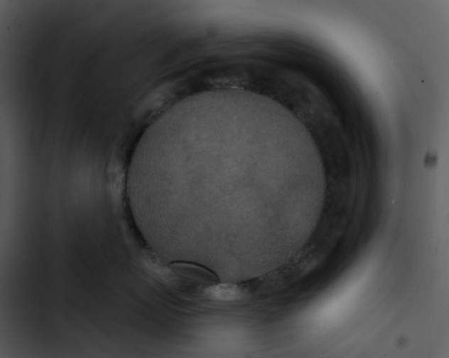 X0000102850767200809081243